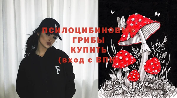 mdpv Алексин