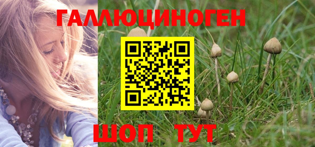 Галлюциногенные грибы Cubensis Воткинск